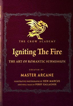Igniting the Fire - by Master Arcane - Book Cover Thumbnail