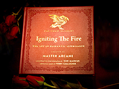 Master Arcane | Igniting the Fire - Book Excerpt