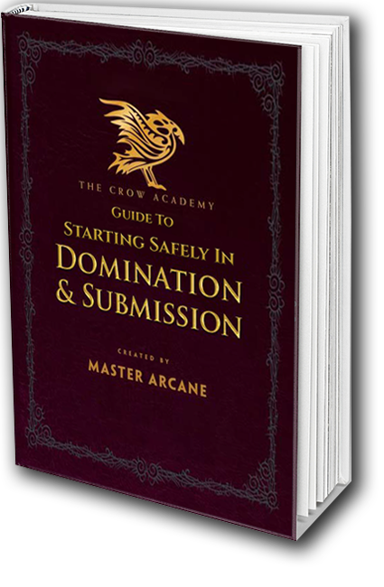 Ebook Cover: Guide to Starting Safely in Dominance & Submission